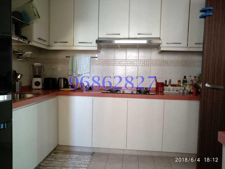 Bishan Loft (D20), Condominium #173866542